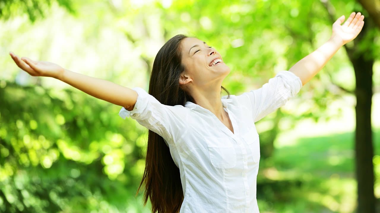 What is the Holistic Lifestyle?