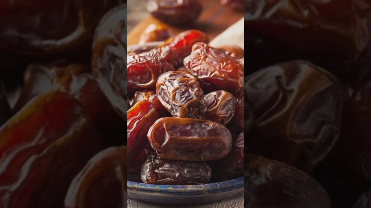 Dates seed sprouting. 
