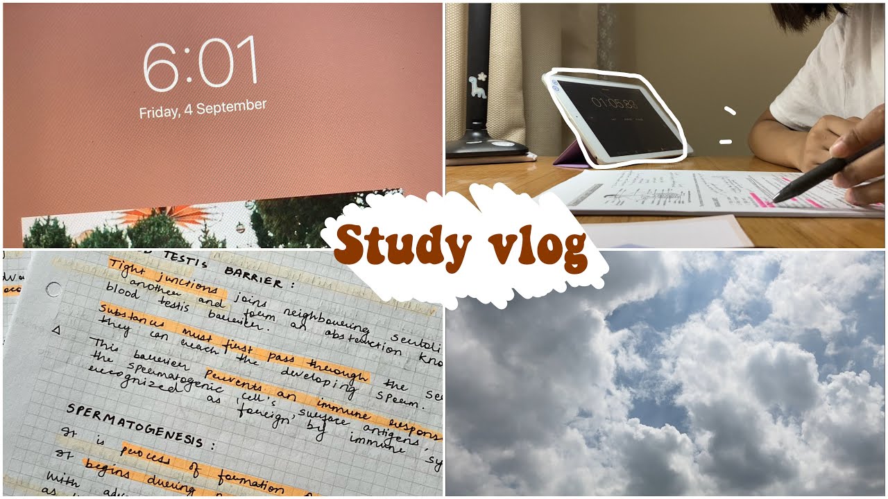 Study vlog | waking up at 4 am ✨ (India)