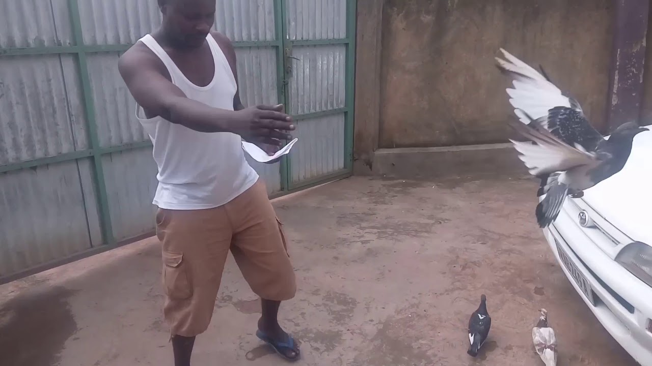 Inuma uko zibaho 3 (0788674581)
