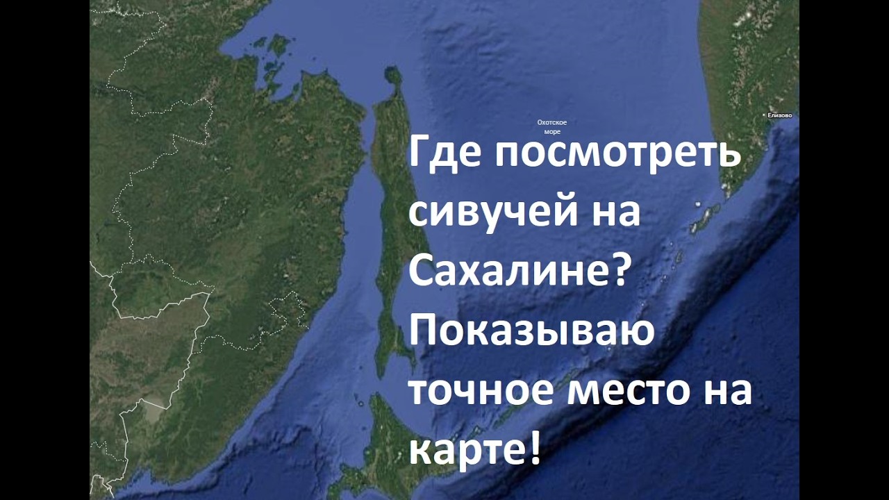 Про Сахалин. Сивучи. Часть 5. Где посмотреть сивучей на Сахалине? Показываю точное место на карте!
