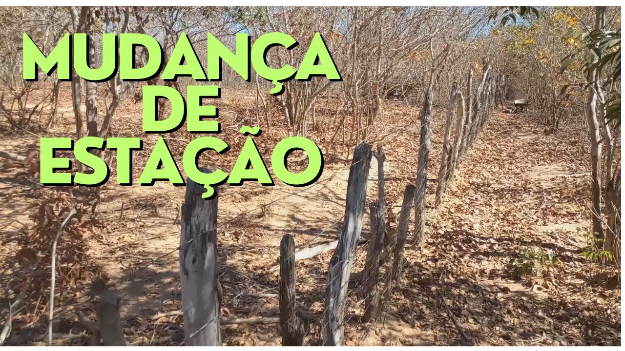 Cercando o terreno - Parte 1