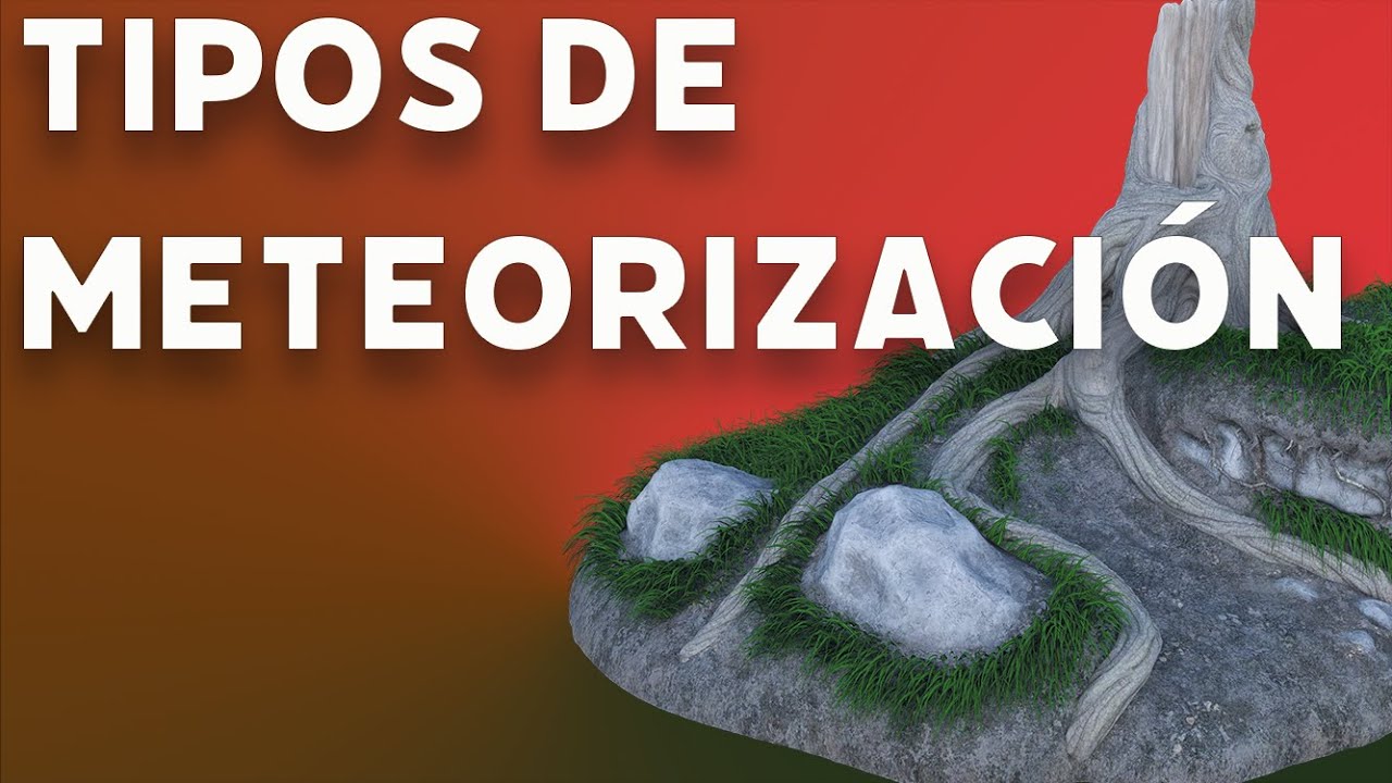 #videolecci&oacute;n. Tipos de metorizaci&oacute;n