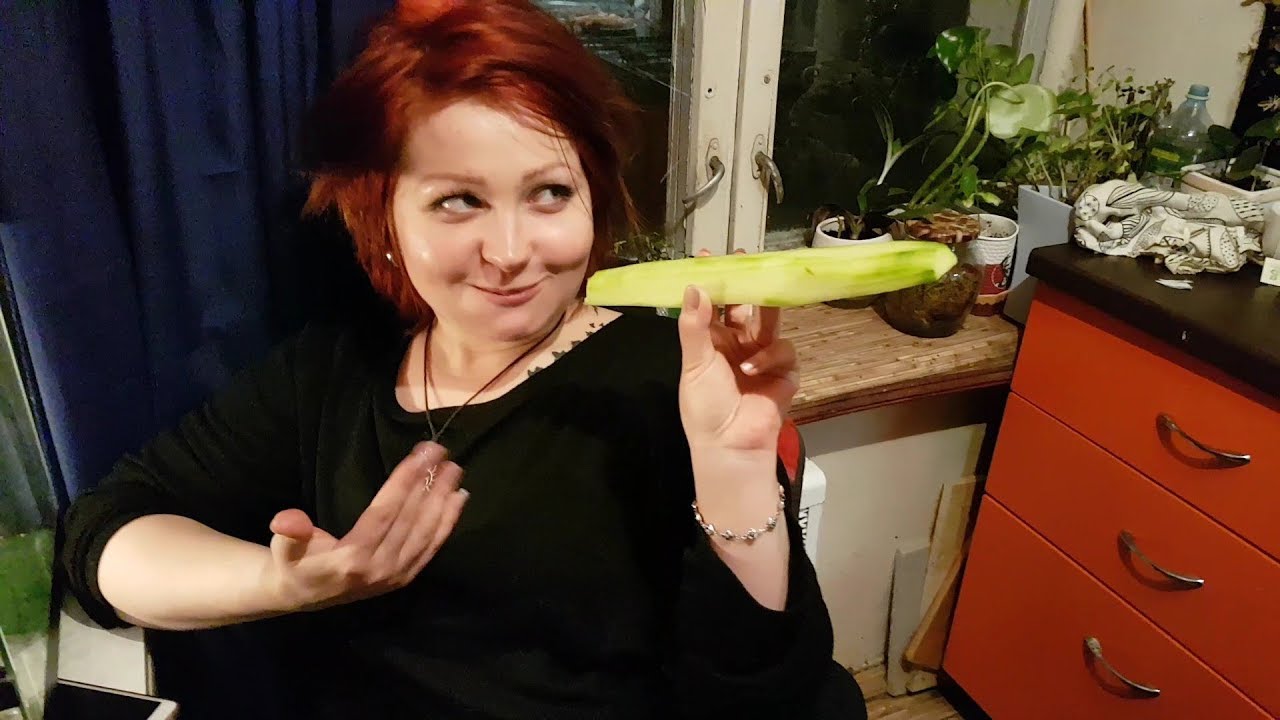 Упоротые зоологи делятся жизненным опытом. Или не делятся. И светят фонариком в ухо геккону.