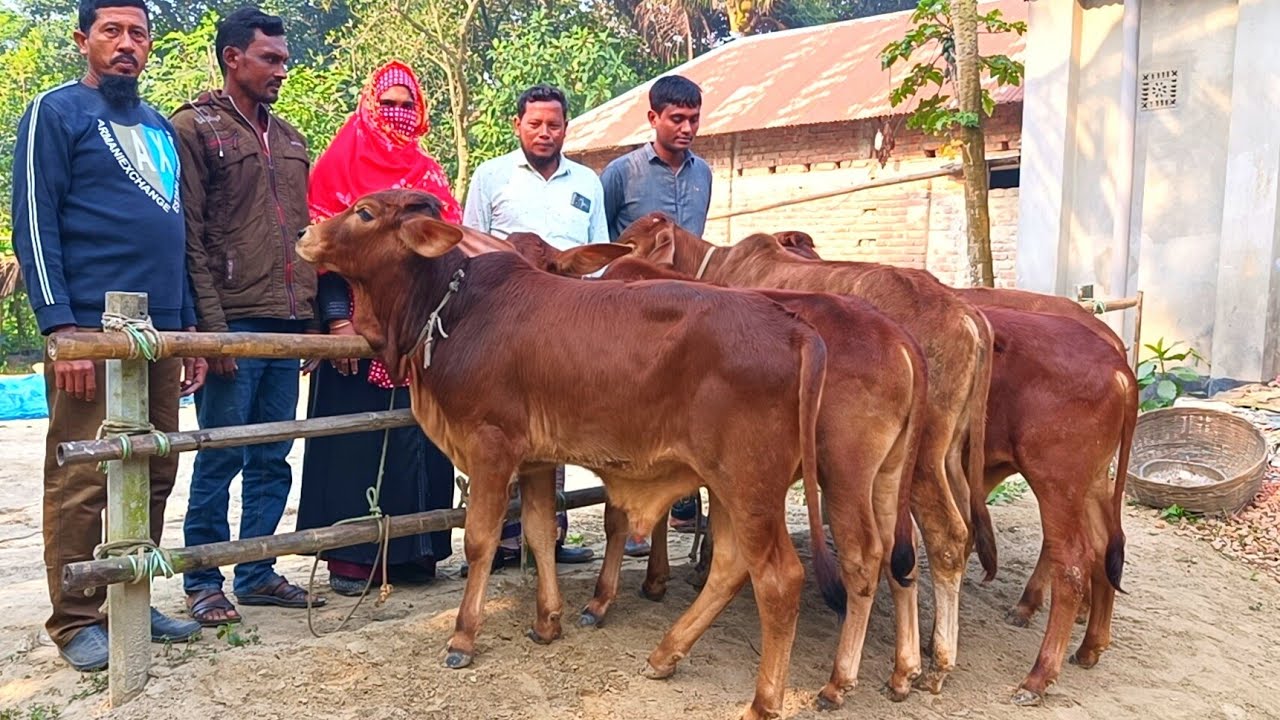 @আজ ২৩ নভেম্বর