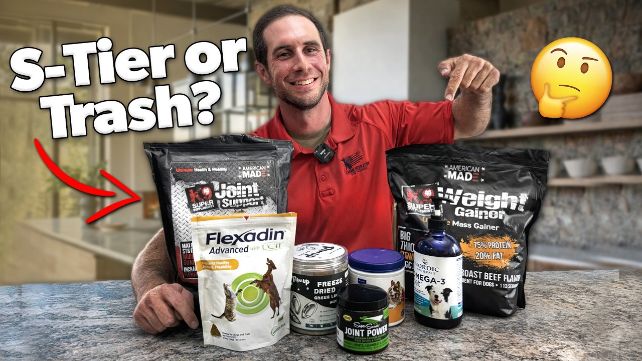 Best Joint Supplements for Dogs 2026: What Actually Works