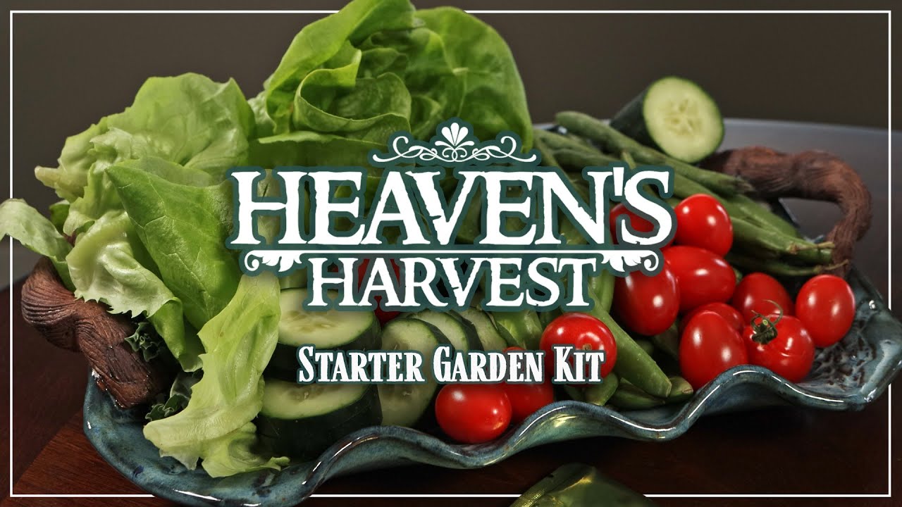 Heaven's Harvest | Starter Garden Seed Kit