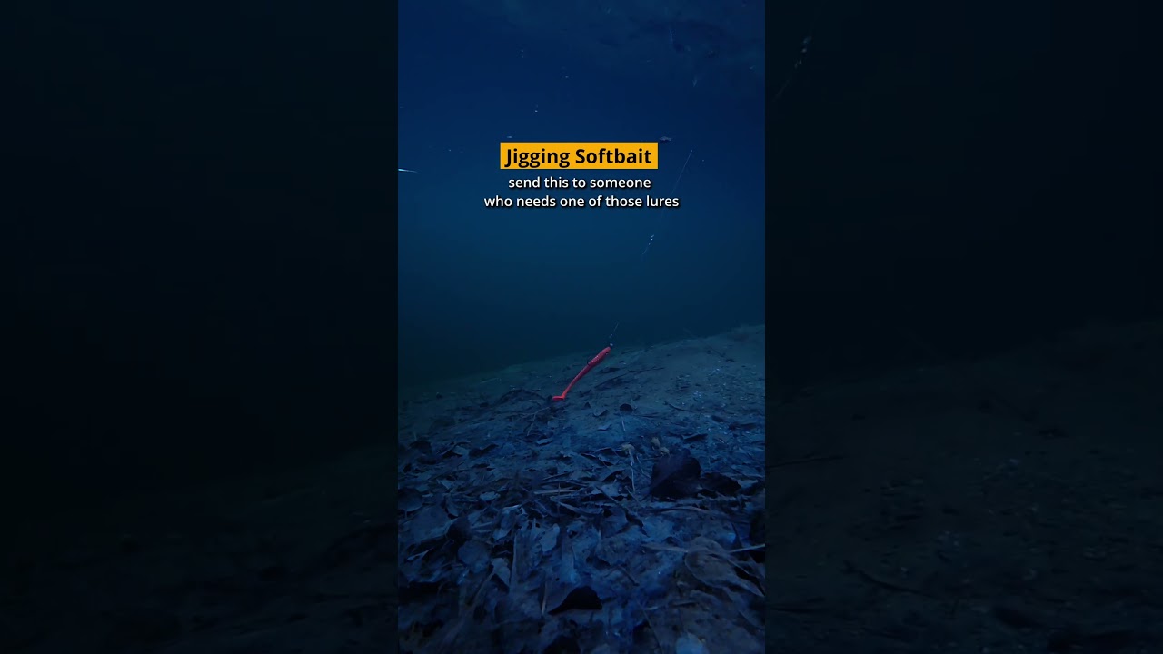 Pick Your Top Zander Lure 🎣 | Underwater View #naturehooked