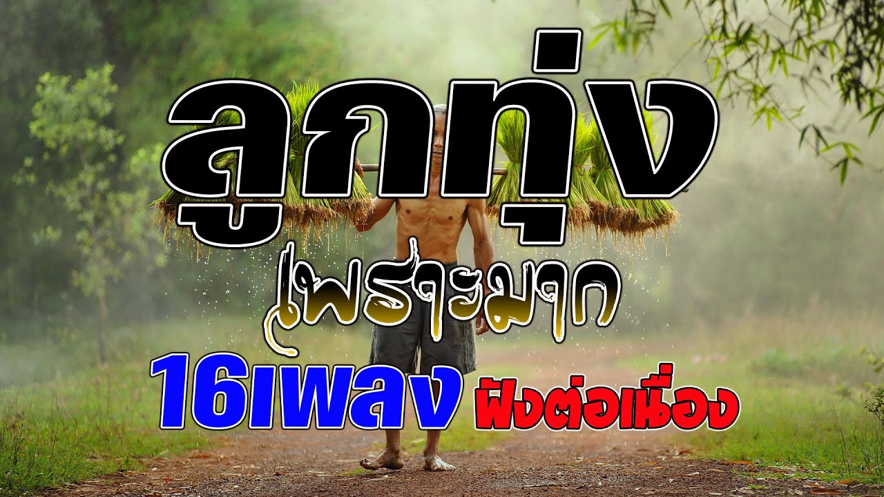 ลูกทุ่งเพราะมาก คัดมาพิเศษ : 16เพลงฟังต่อเนื่อง