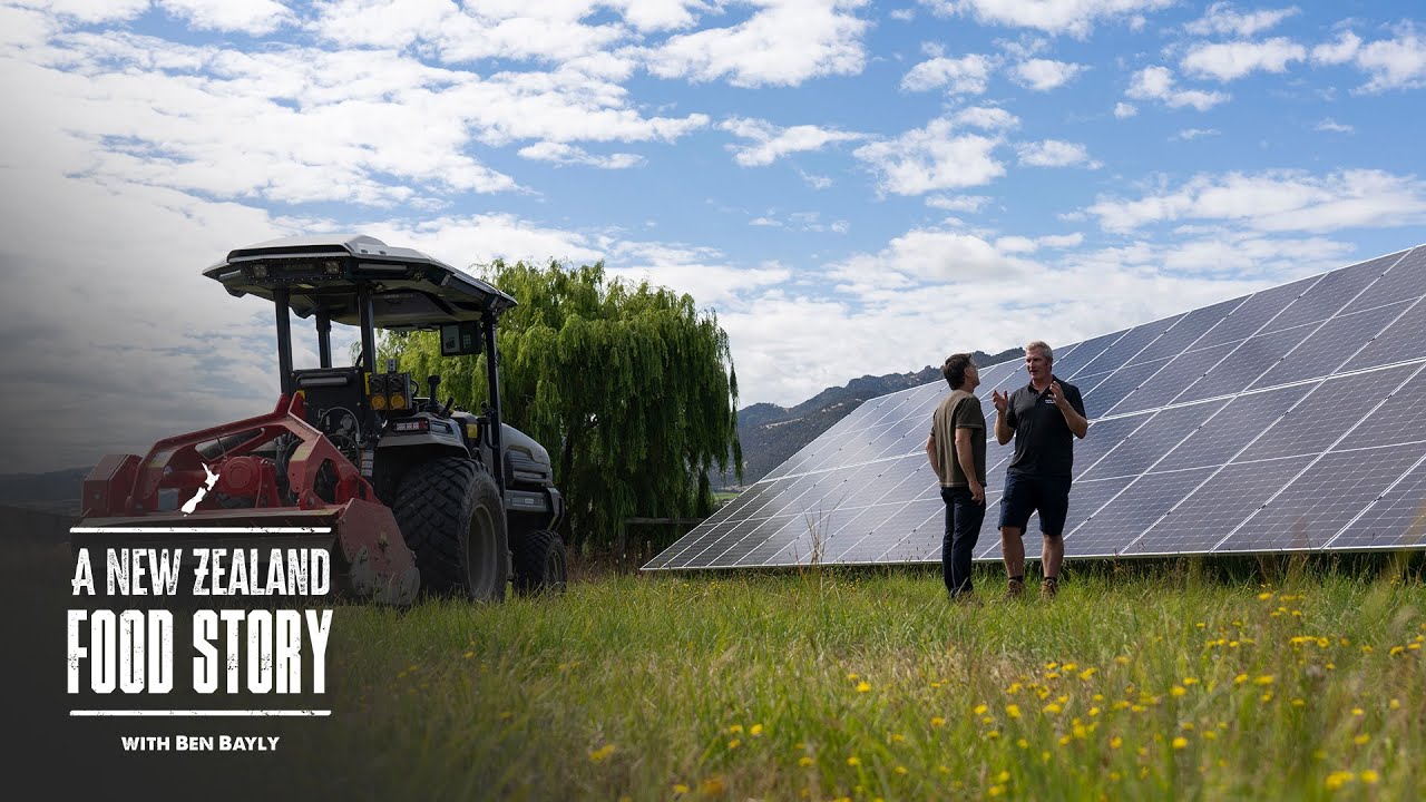 Fully Electric Cherry Orchard - and New Zealand's Biggest Nectarines