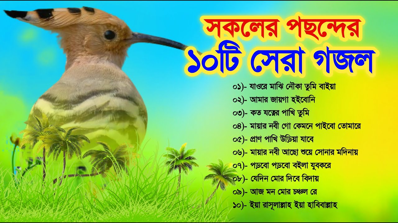 দর্শকের পছন্দ করা ১০টি বাছাই করা গজল | Top 10 Most Popular Bangla Gojol | গজল | New Gojol Album