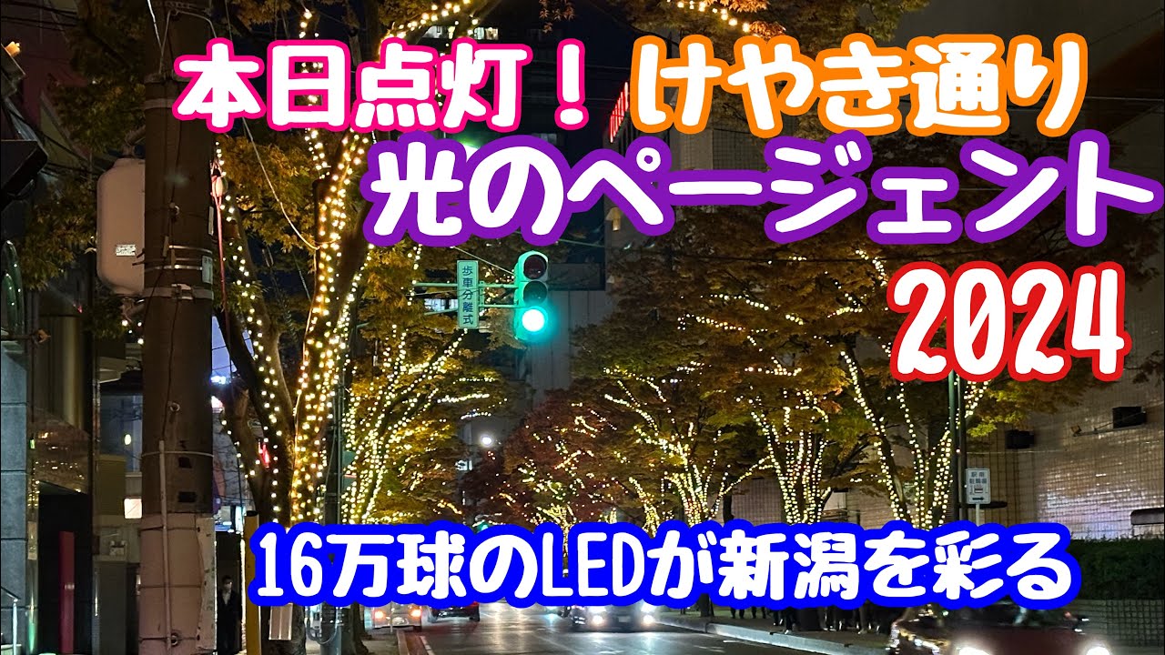 2024年11月15日 本日点灯！けやき通り光のページェント！16万球が新潟の夜を演出