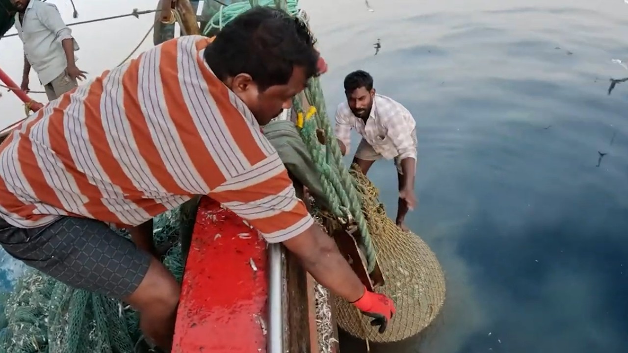 Hard Work On the Open Water | Fishermen Casting Nets | Life of Coastal Fishermen | #KadalTV