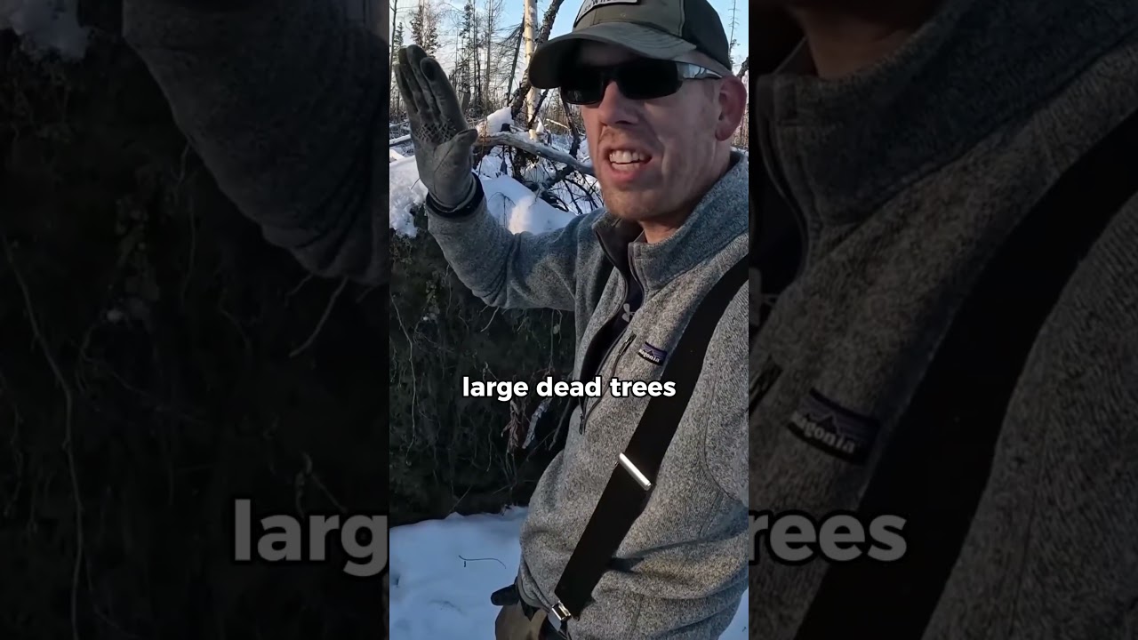 This is what NATURE is CAPABLE of! 😨🌲#outdoors #wild #camp