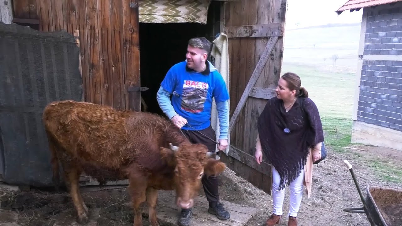 NERMIN LEVIĆ SA SVOJIM BALTIJEM