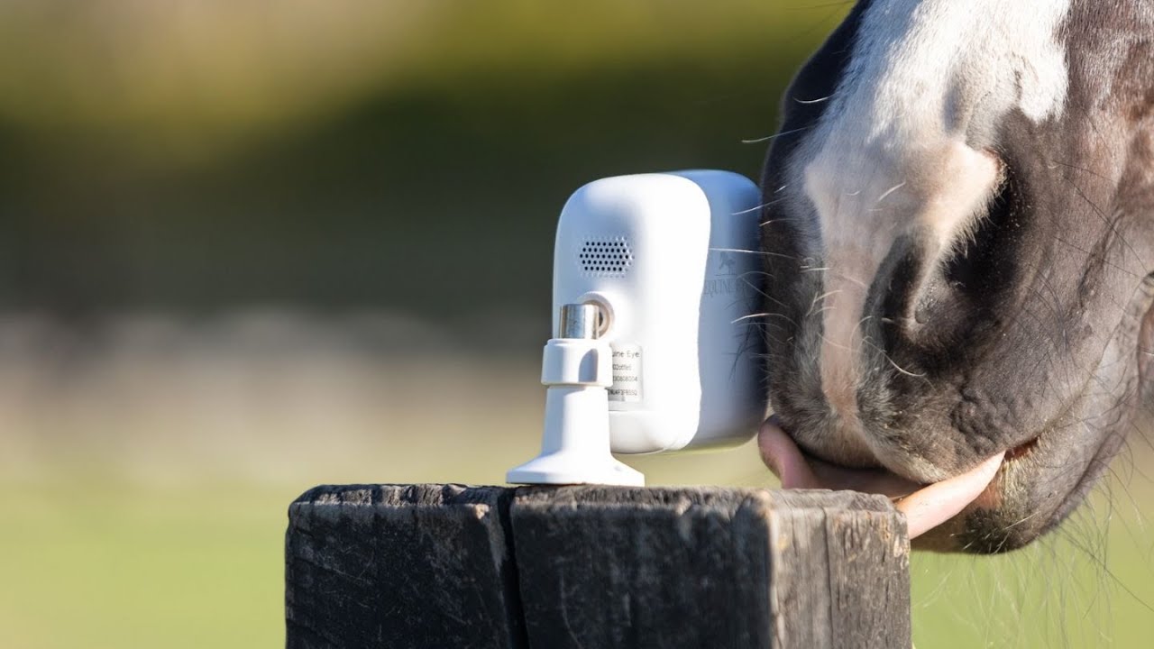 Equine Eye at Home - monitor your horse in the paddock or stable