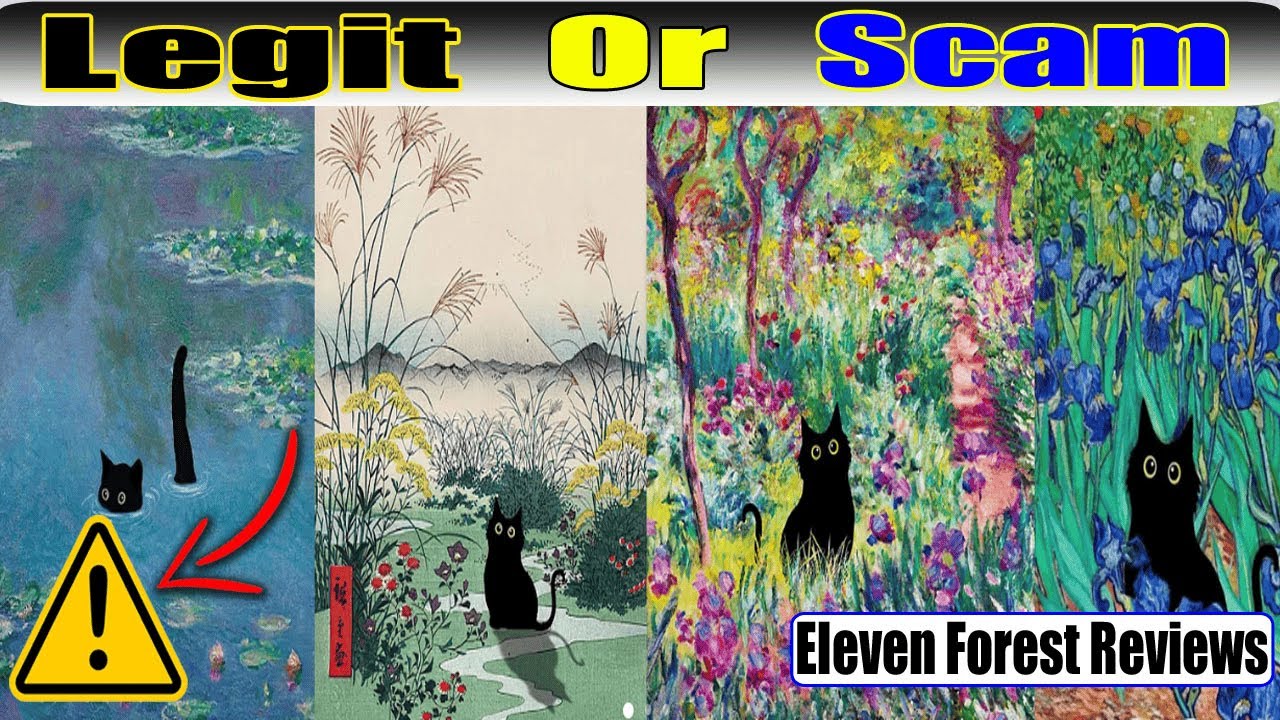 Eleven Forest Reviews - Legit or a Total Scam?