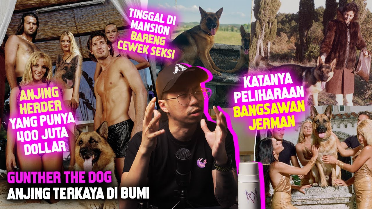 SATU NEGARA DI BEGO-2IN ANJING TERKAYA DI BUMI