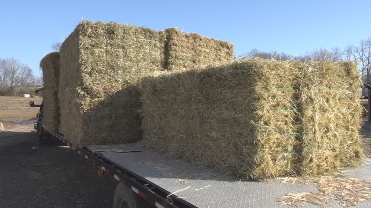 Kentucky farmers hit hard by inflation as hay prices skyrocket