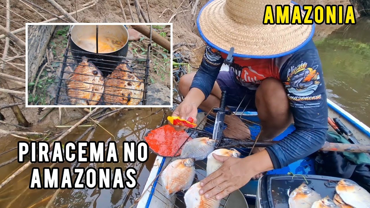 COMEÇOU A PIRACEMA NO AMAZONAS, PESCARIA DE FLECHA COM CALDEIRADA E ASSADO NO LOCAL.