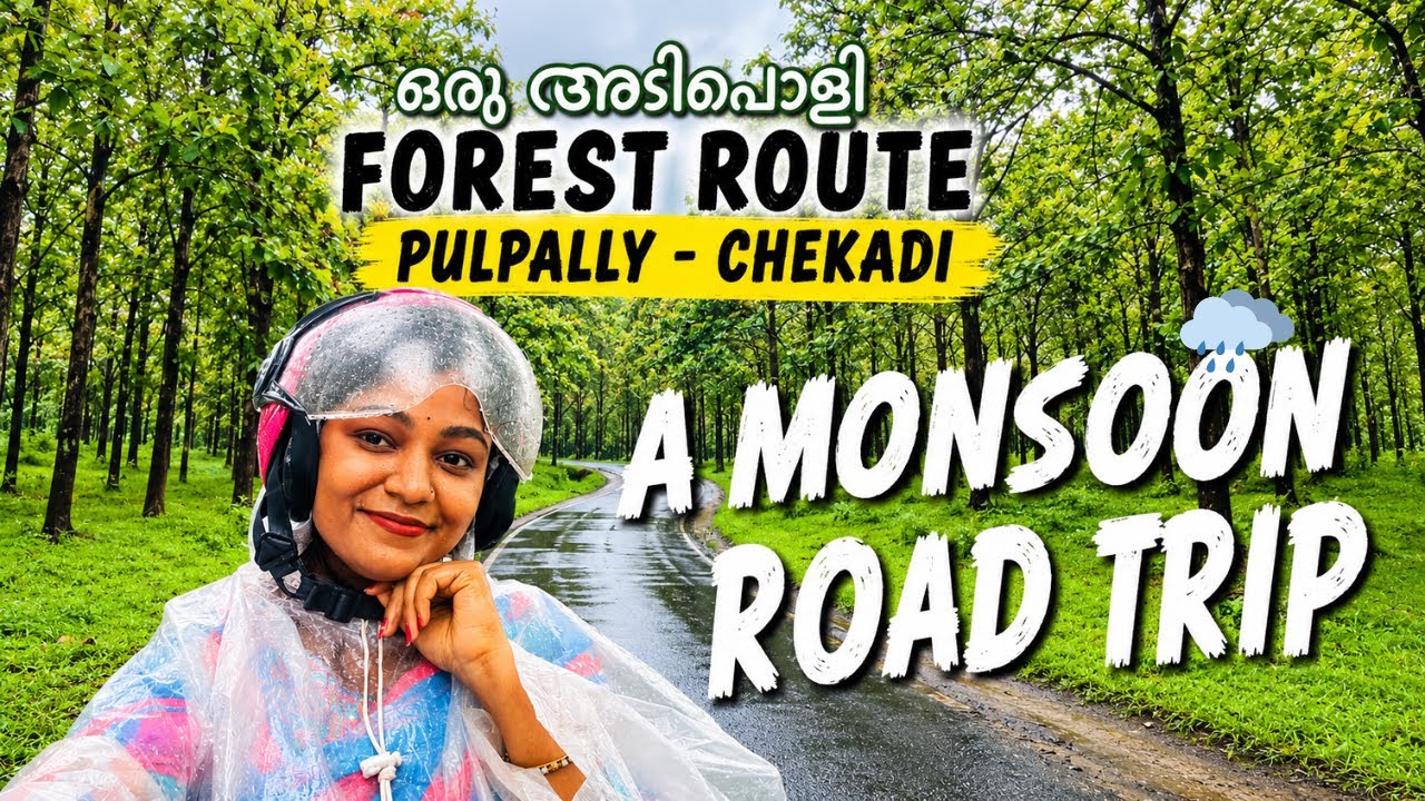 വയനാട് പോകാൻ ഇതിലും best time വേറെ ഇല്ല 😍🌧️🌬️| Forest Route🌳 #monsoon2025 #wayanad #roadtrip #forest