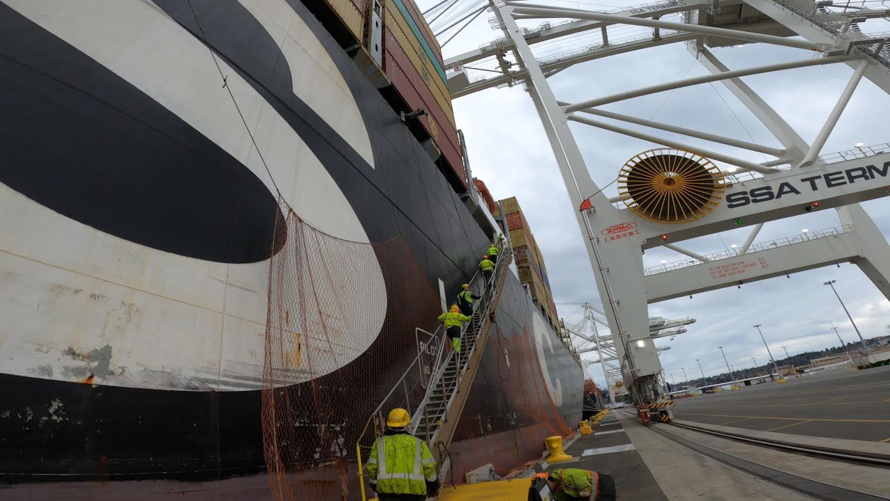 Lashing Container Ships - MSC SAVONA