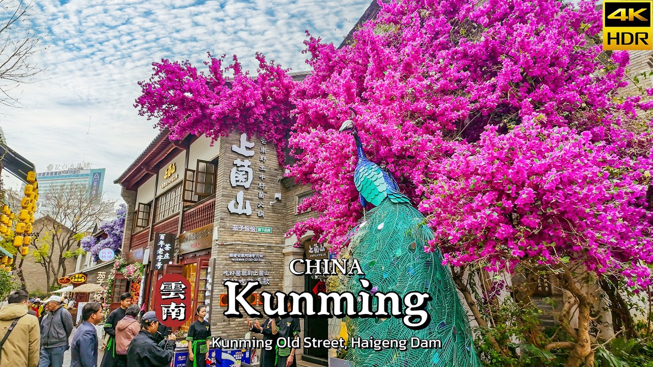 Нашел &laquo;Город весны&raquo; в Китае 🌸 Куньмин: Старый город и чайки | 4K HDR