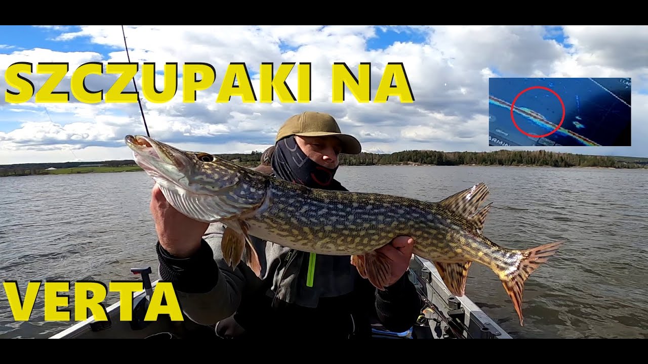 SZCZUPAKI NA VERTA