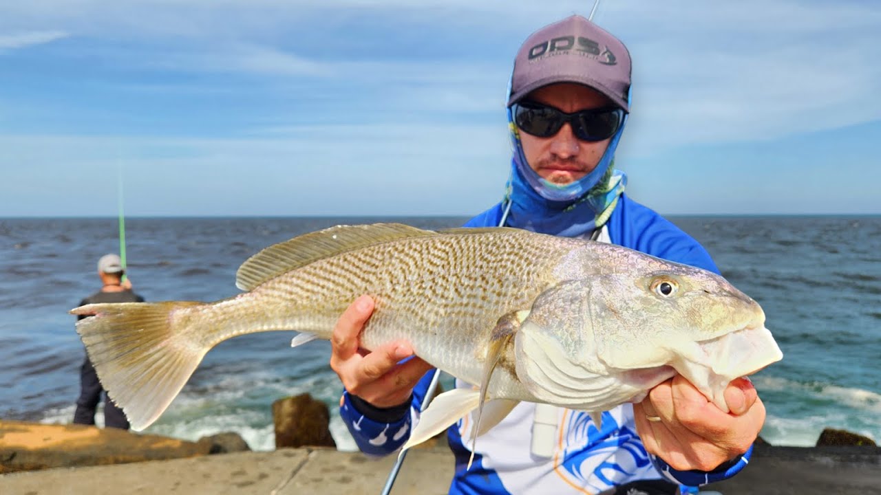 Foi só dar o PRIMEIRO ARREMESSO e depois não parou mais! Cardume na BOCA da BARRA!