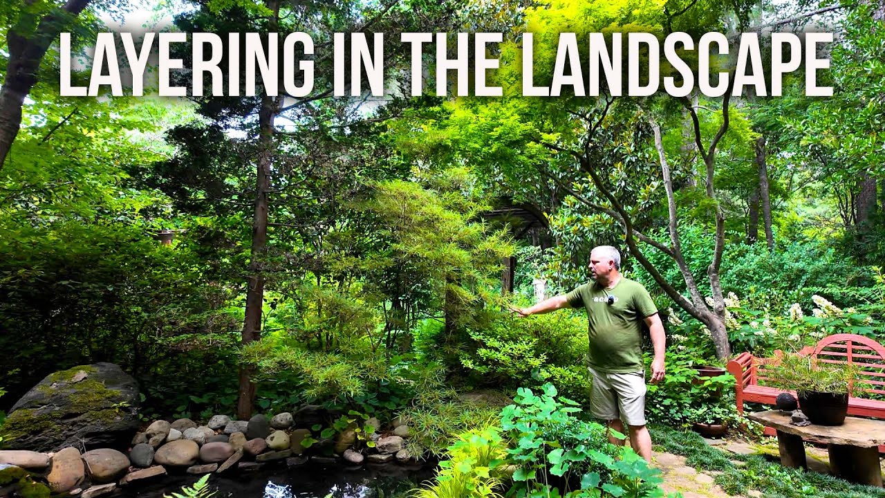 Layering in the Landscape - Turning Shrubs into Trees