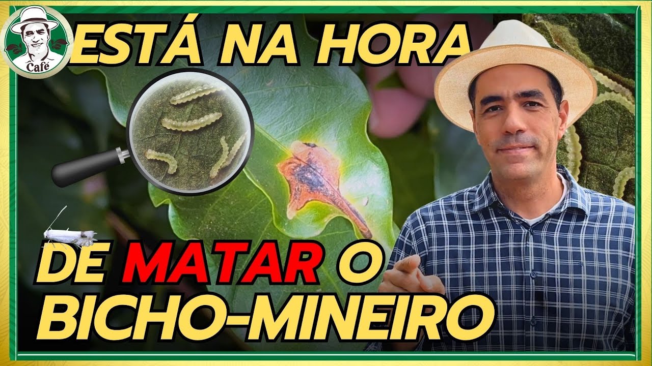 A PIOR PRAGA DO CAFÉ - Aprenda a combater o BICHO-MINEIRO