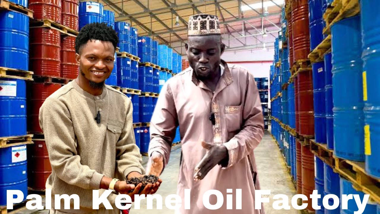How This Alfa Built A Palm Kernel Oil Processing Factory in Nigeria