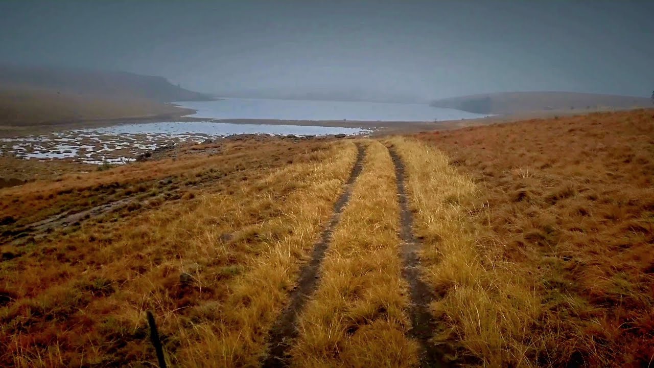 Mountain Lake Rainbows | Fly-fishing Eastern Cape South Africa