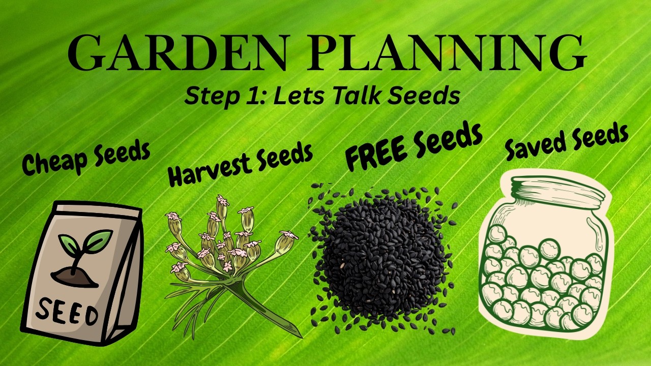 Massachusetts Garden Planning in January on a Budget. $tree Seed trip, Free Seeds, old seeds