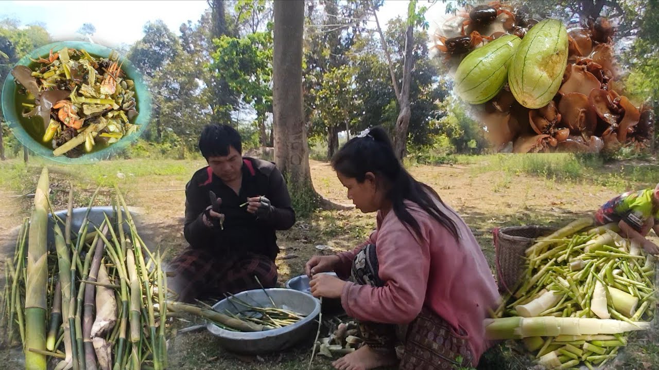 แกงน่ไม้//ແກງນ່ໄນ້29 มกราคม ค.ศ. 2026