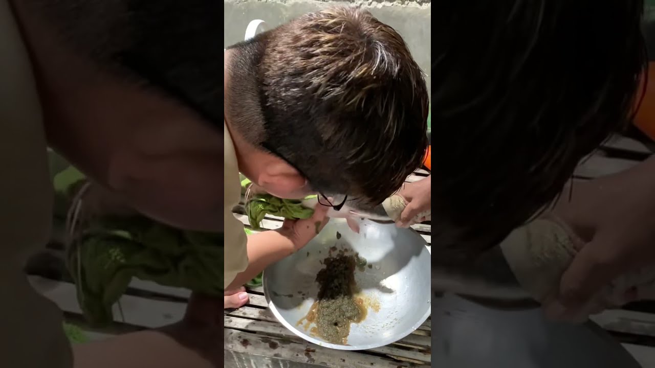 How to hatch catfish / Hito Breeder ! Step by step tutorial part 1