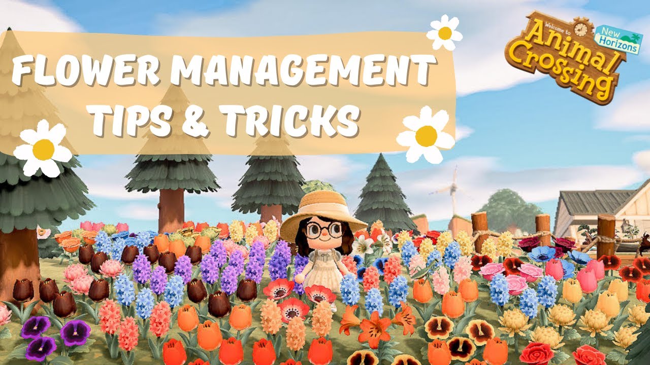 Flower Management Tips & Tricks // Animal Crossing New Horizons