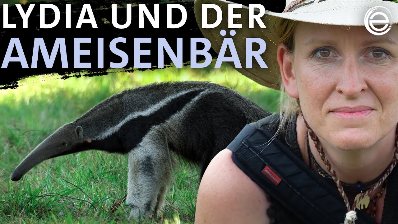 Lydia Möcklinghoff und der Ameisenbär – Erlebe das Pantanal | Erlebnis Erde