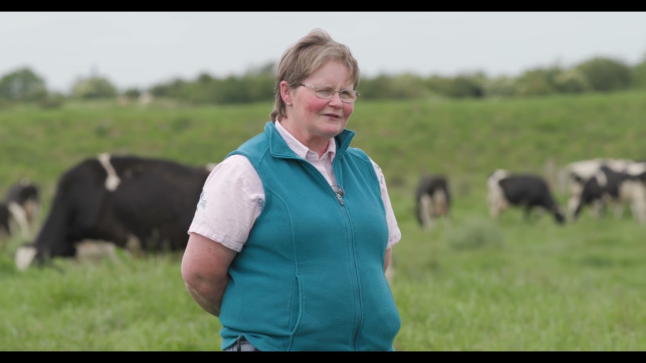 IHFA Breeder Profile - Rosaleen O'Reilly - Castlefergus Herd