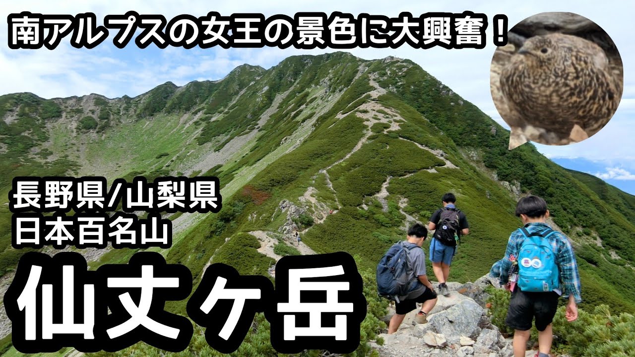 【仙丈ヶ岳】登山　南アルプスの絶景に雷鳥＆雄大なカールを眺めながら歩く家族登山！