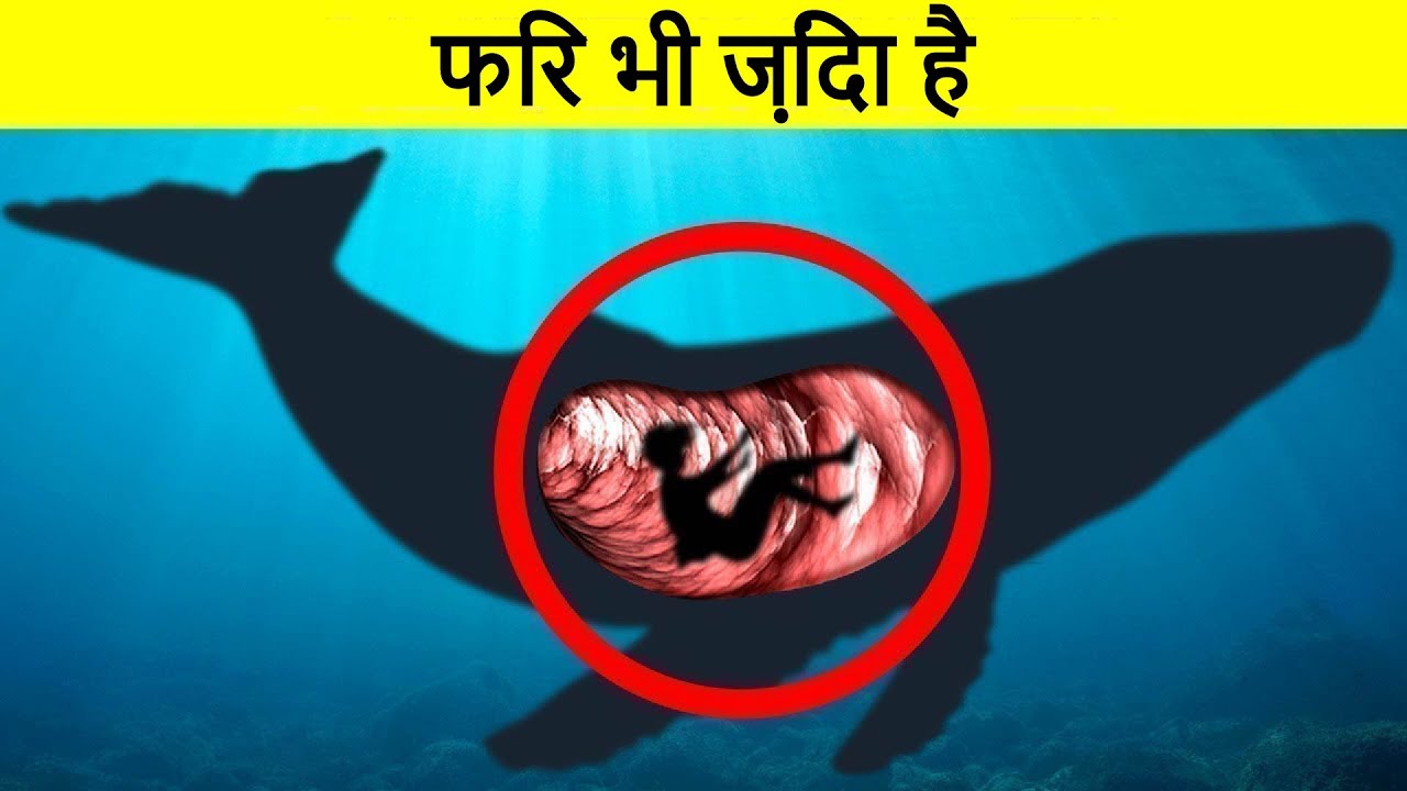 सबसे अजीब जगहों पर मिले लोग – भाग 2 | Impossible Places People Were Found – Part 2