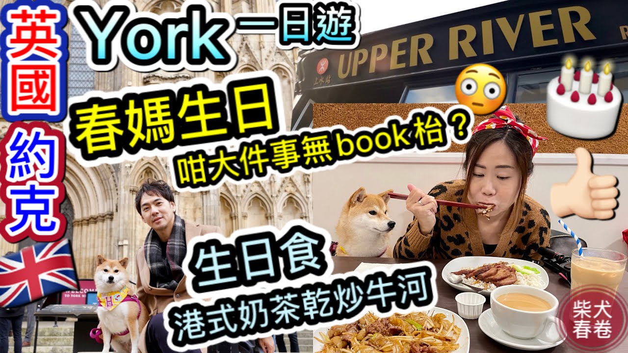 【春卷York之旅】英國約克Part2｜上水站港式餐廳｜乾炒牛河｜第一次英國旅行｜約克城牆｜柴犬春卷移民英國｜寵物移民｜Shiba Inu Manchester｜中英字幕Eng Sub uk 🇬🇧