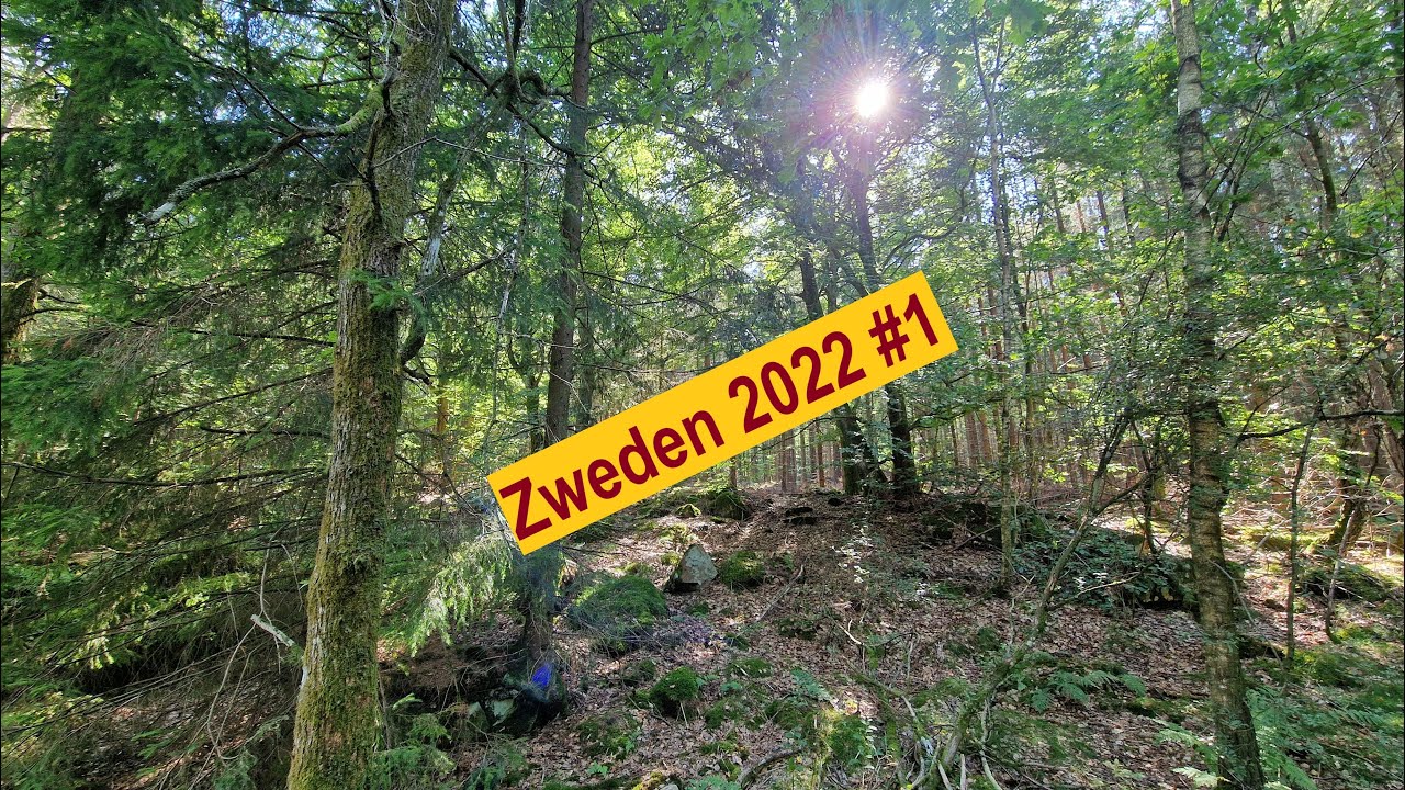 Zweden 2022🌲🌲 #1