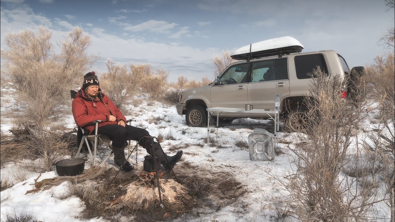 Один, в песках Мойынкум. Балхаш. Казахстан.