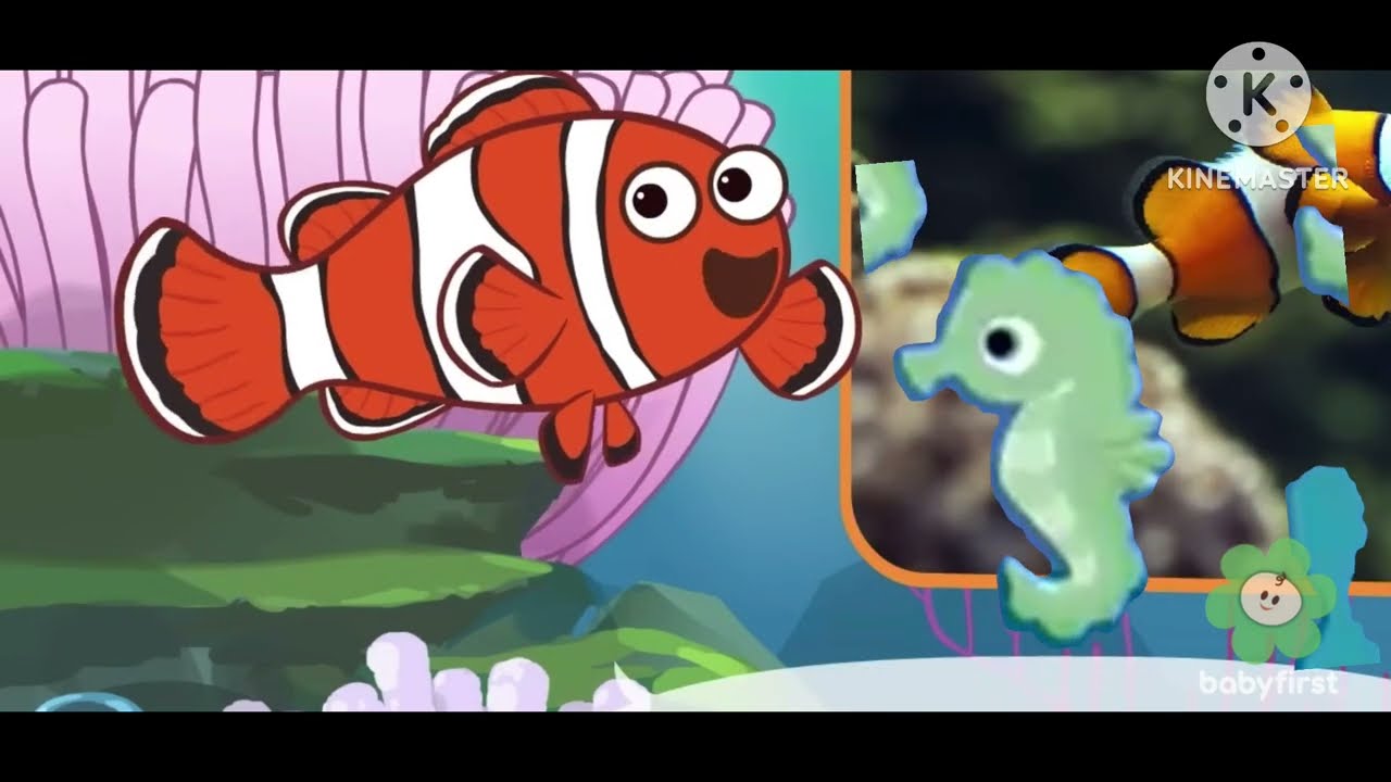 Meet The Animals American Sea Horse 