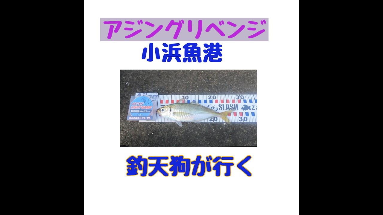 アジング リベンジｉｎ小浜漁港