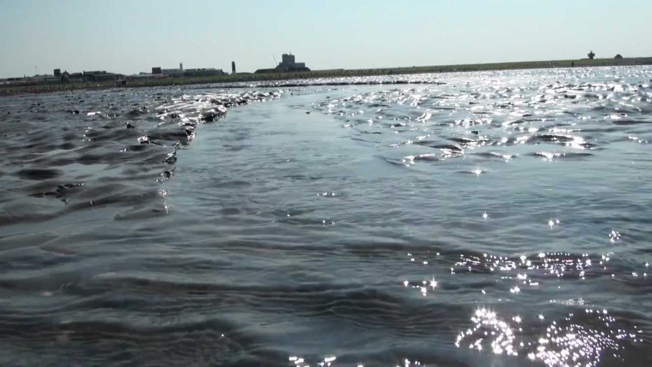 Nordsee: Ebbe, Flut, Beobachtungen im Watt.