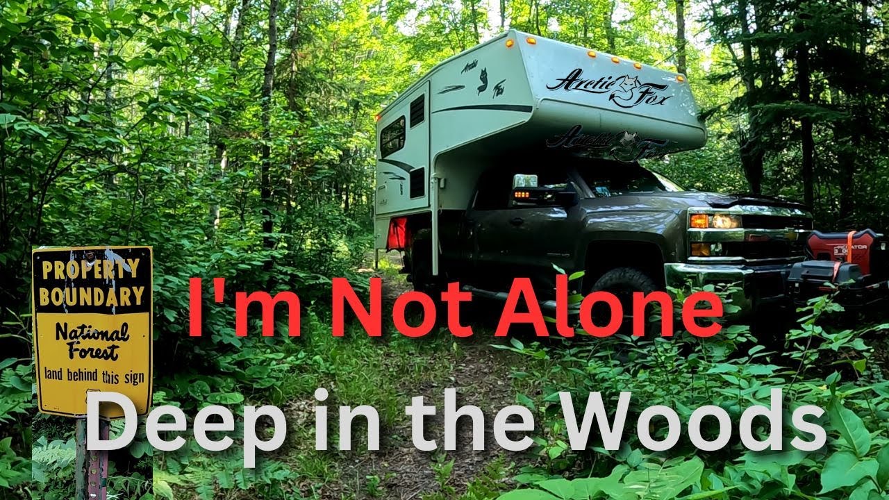 Dispersed Camping with a Rottweiler Deep in the North Woods.