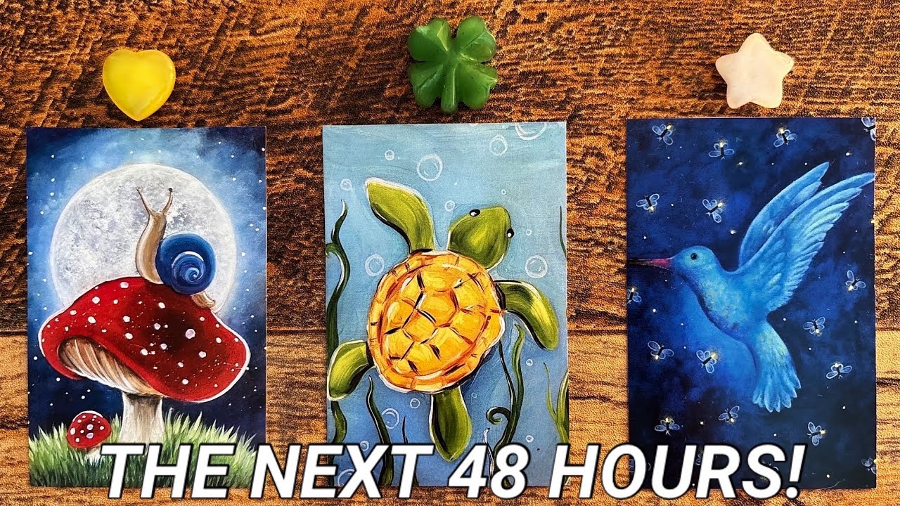 About The Next 48 Hours!🌙🐢🦋| Pick a Card Tarot Reading