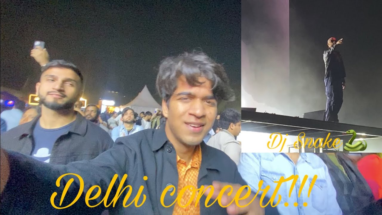 Dj Snake India Tour Delhi Concert 2022 | Daily Vlog :508